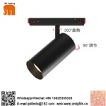 Magnetic light