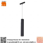 Magnetic light