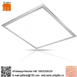 Panel light
