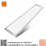 Panel light
