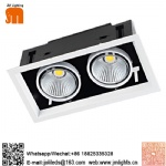 Grille Down light