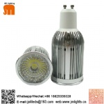 Spot/Par light
