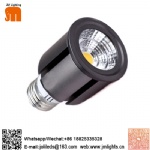 Spot/Par light