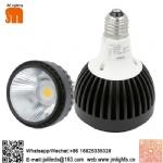 Spot/Par light